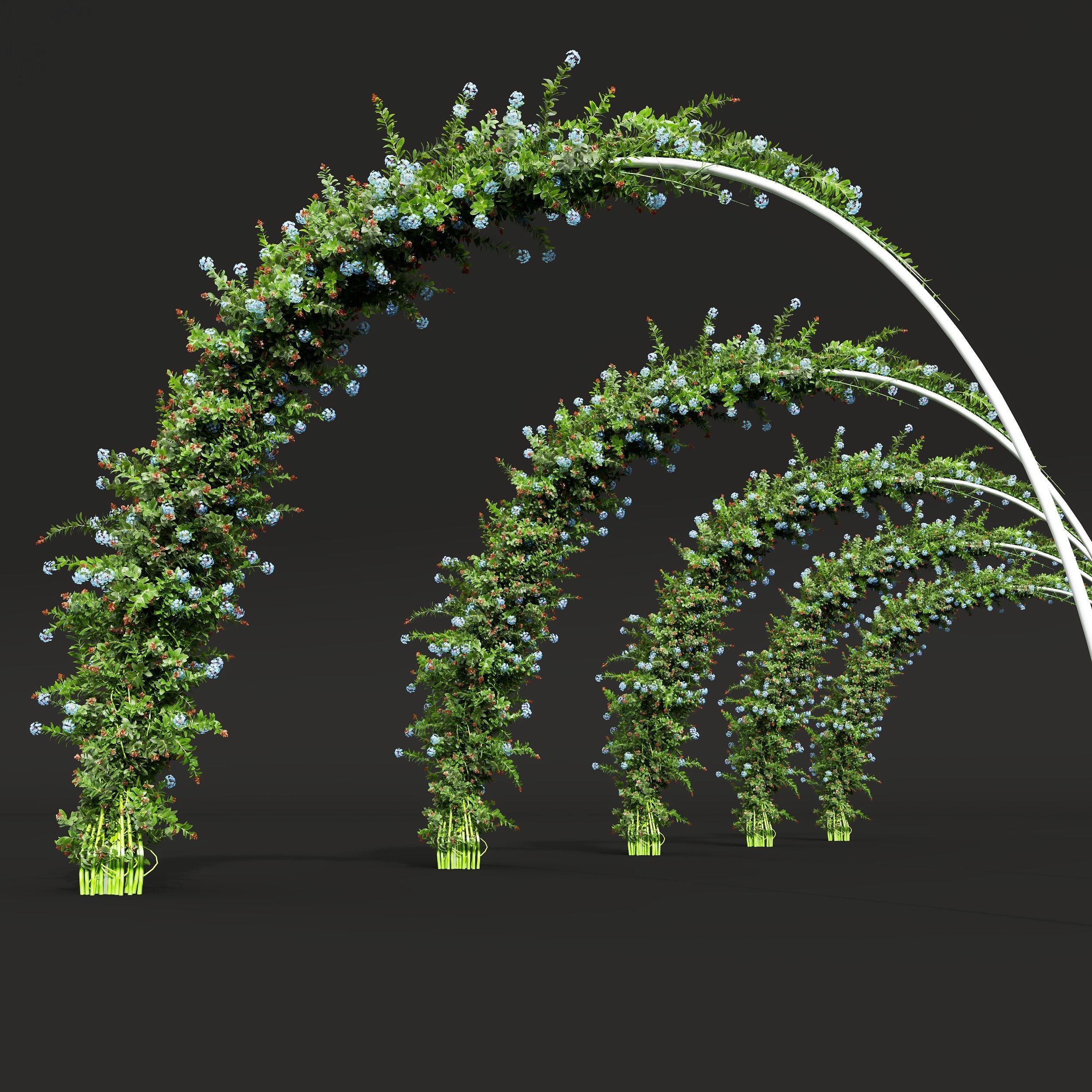 New Plant Ceratostigma Plumbaginoides Bleiwurz Decorative Free 3D model_3