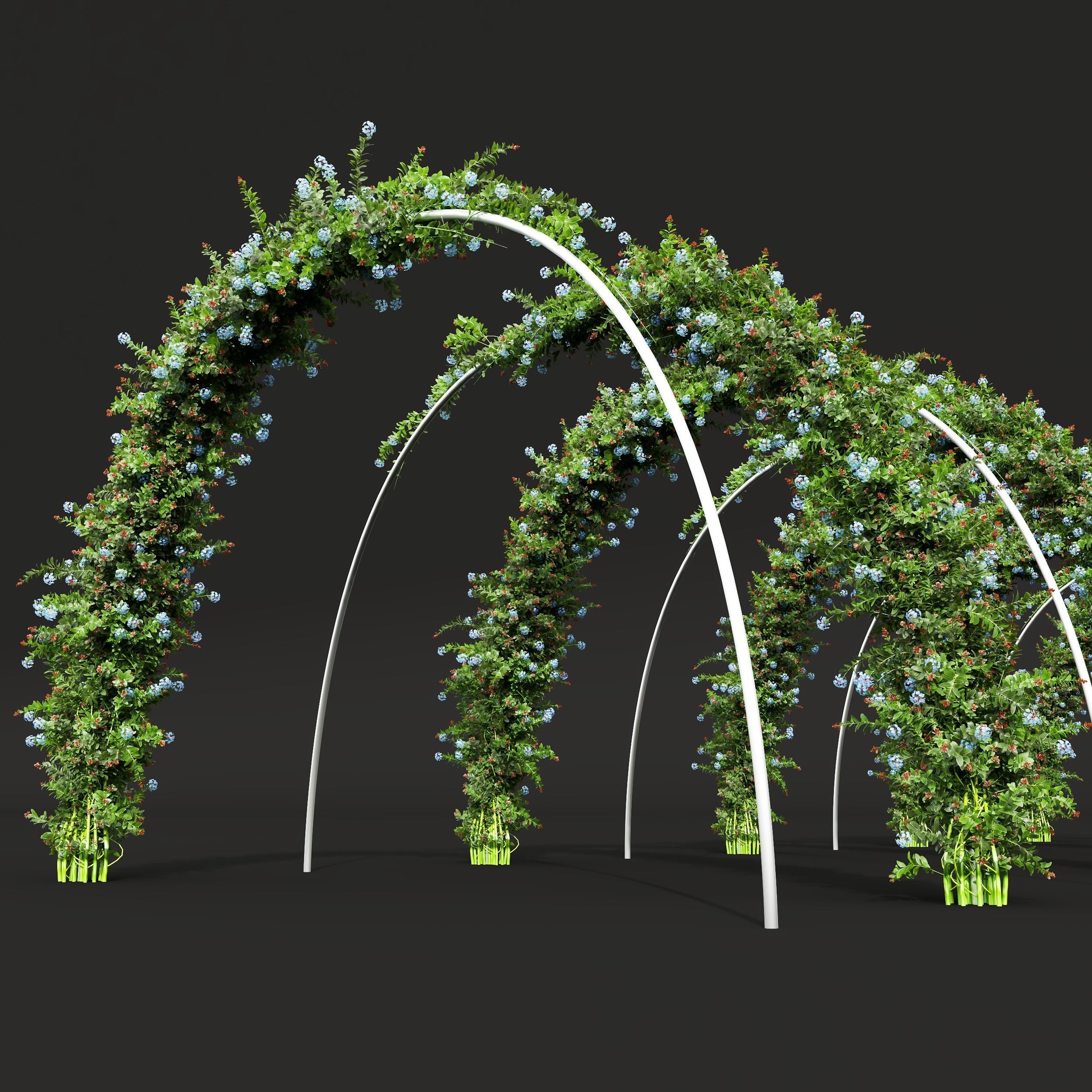 New Plant Ceratostigma Plumbaginoides Bleiwurz Decorative Free 3D model_1