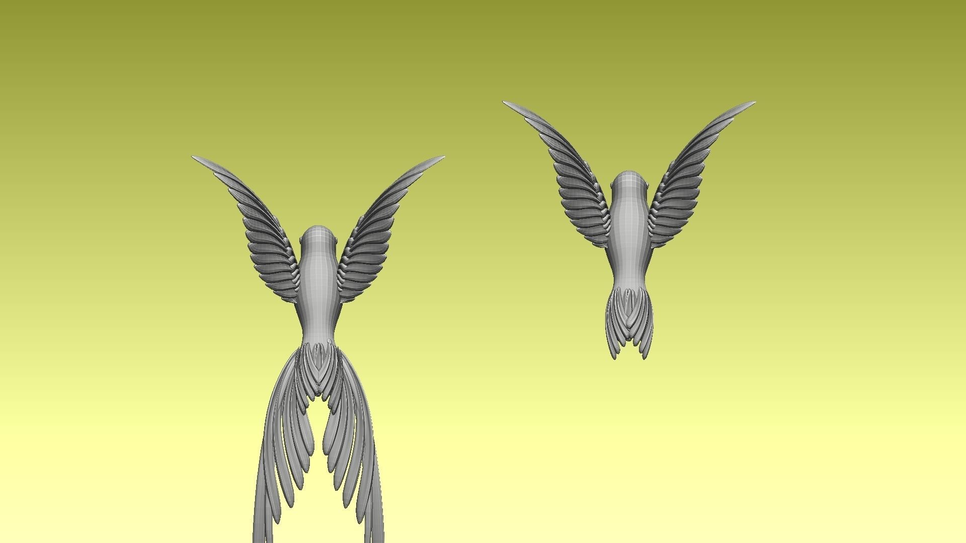 colibri humming bird 3D model_8