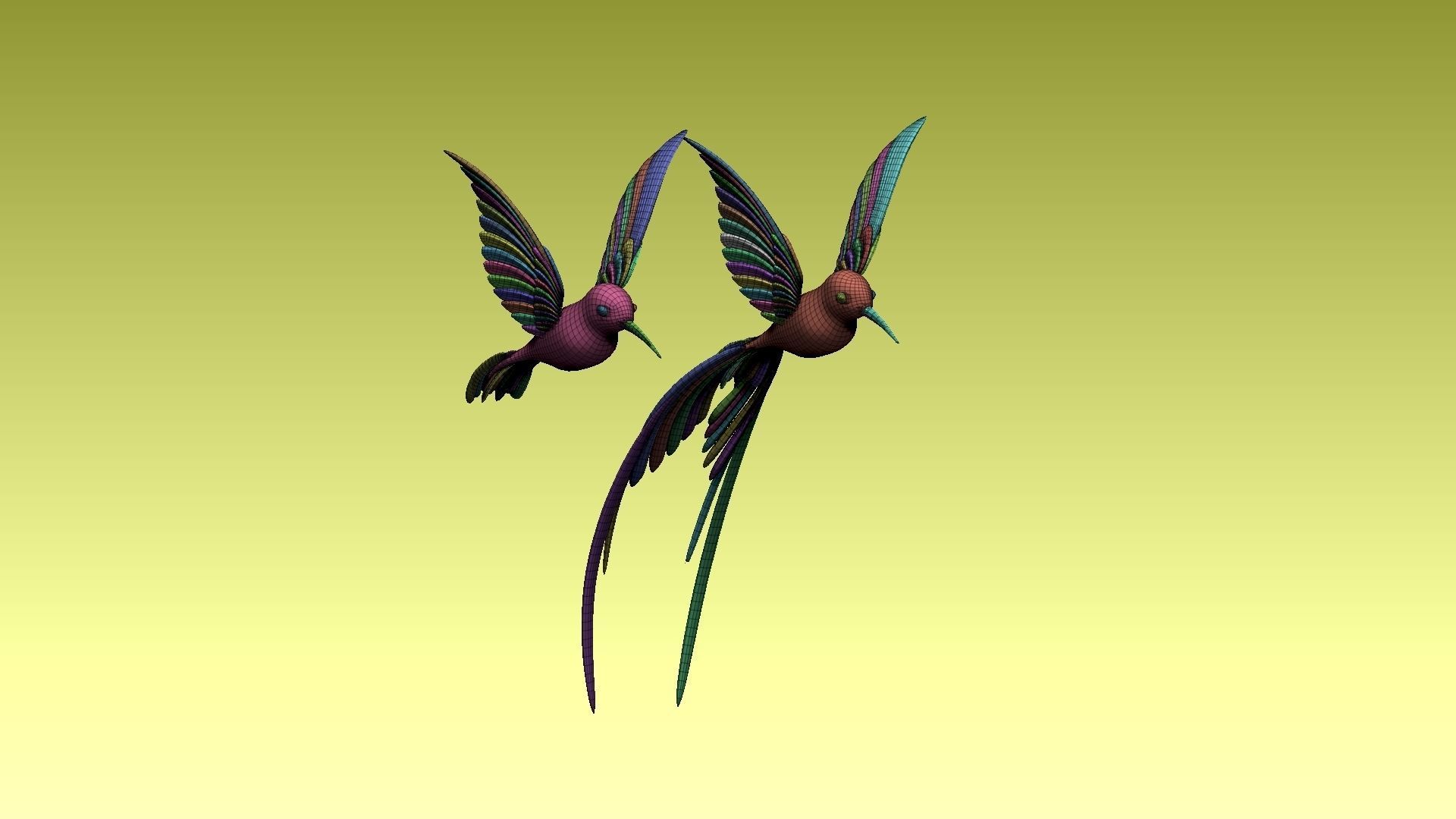 colibri humming bird 3D model_1
