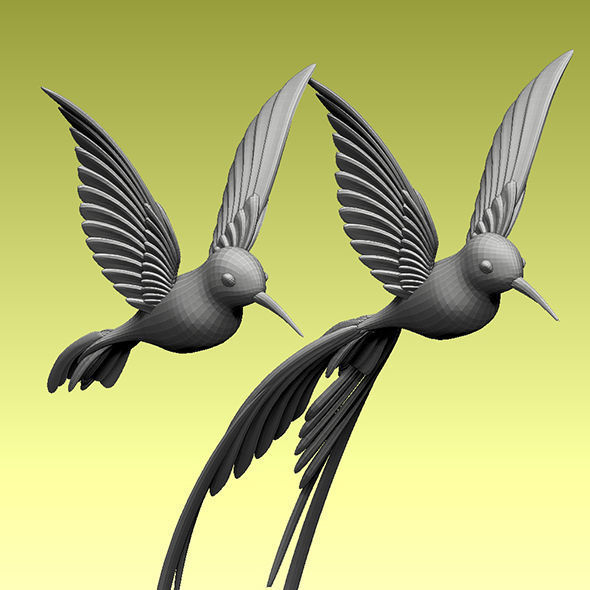 colibri humming bird 3D model_4