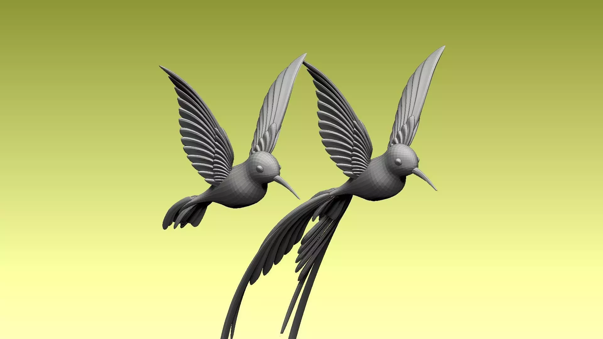 colibri humming bird 3D model_0