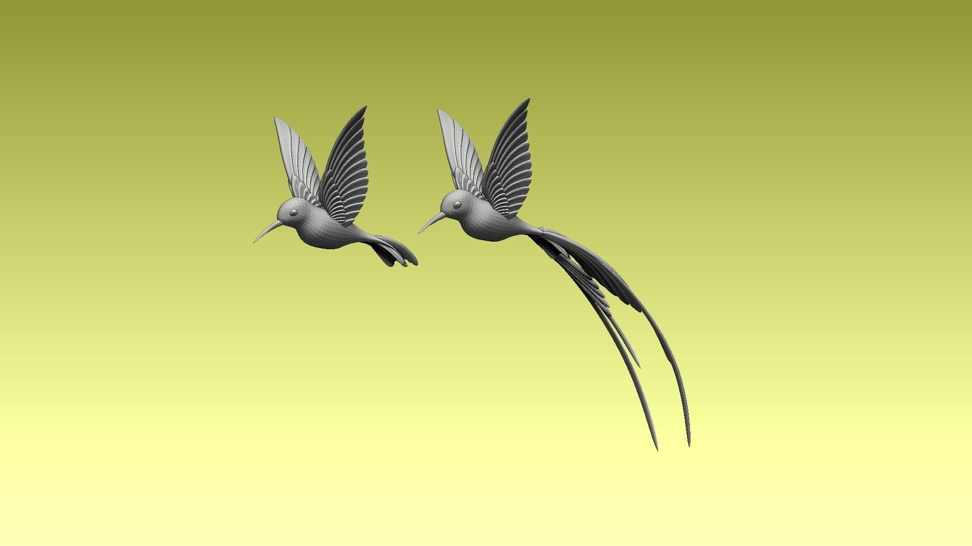 colibri humming bird 3D model_5
