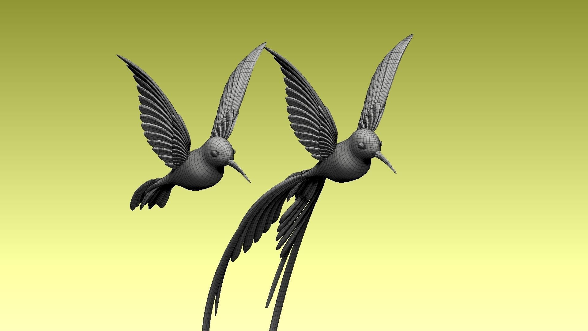 colibri humming bird 3D model_3
