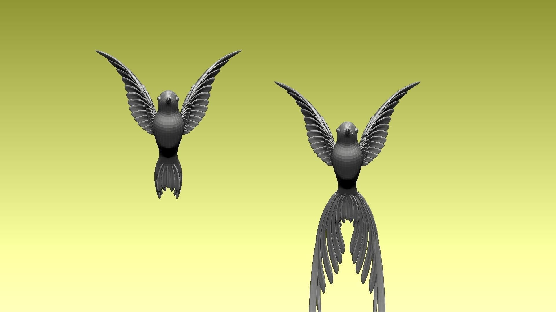 colibri humming bird 3D model_6