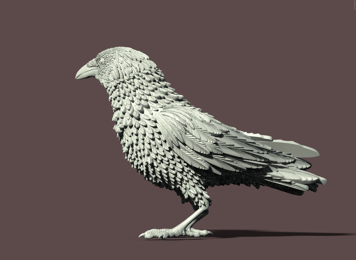 bird crow 3D print model_22