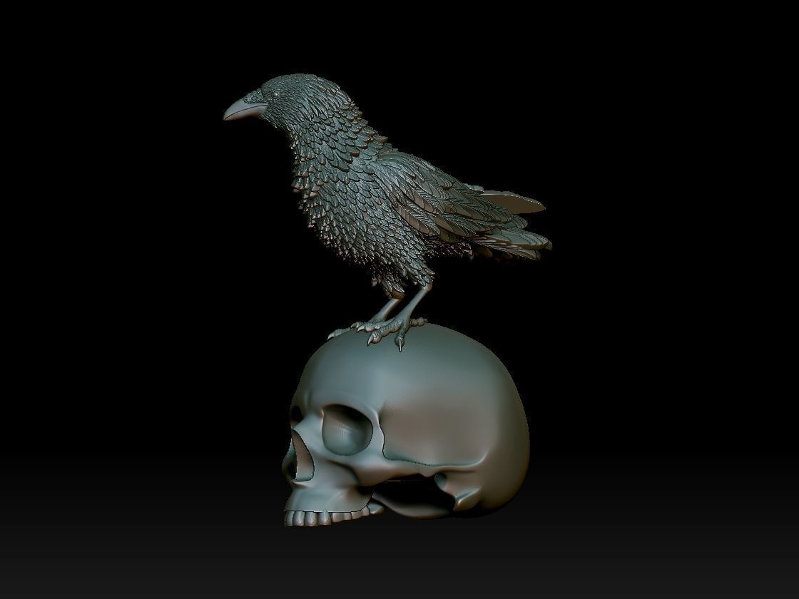 bird crow 3D print model_1