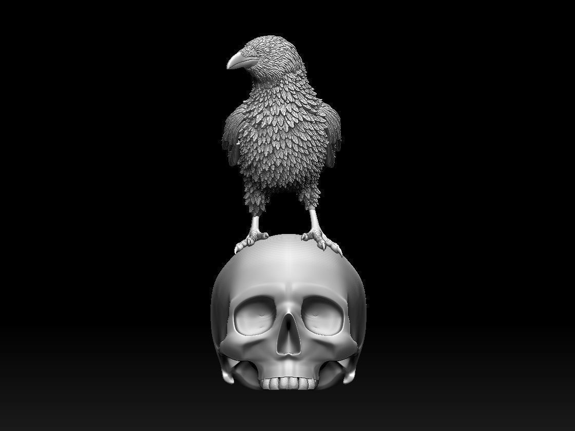 bird crow 3D print model_4