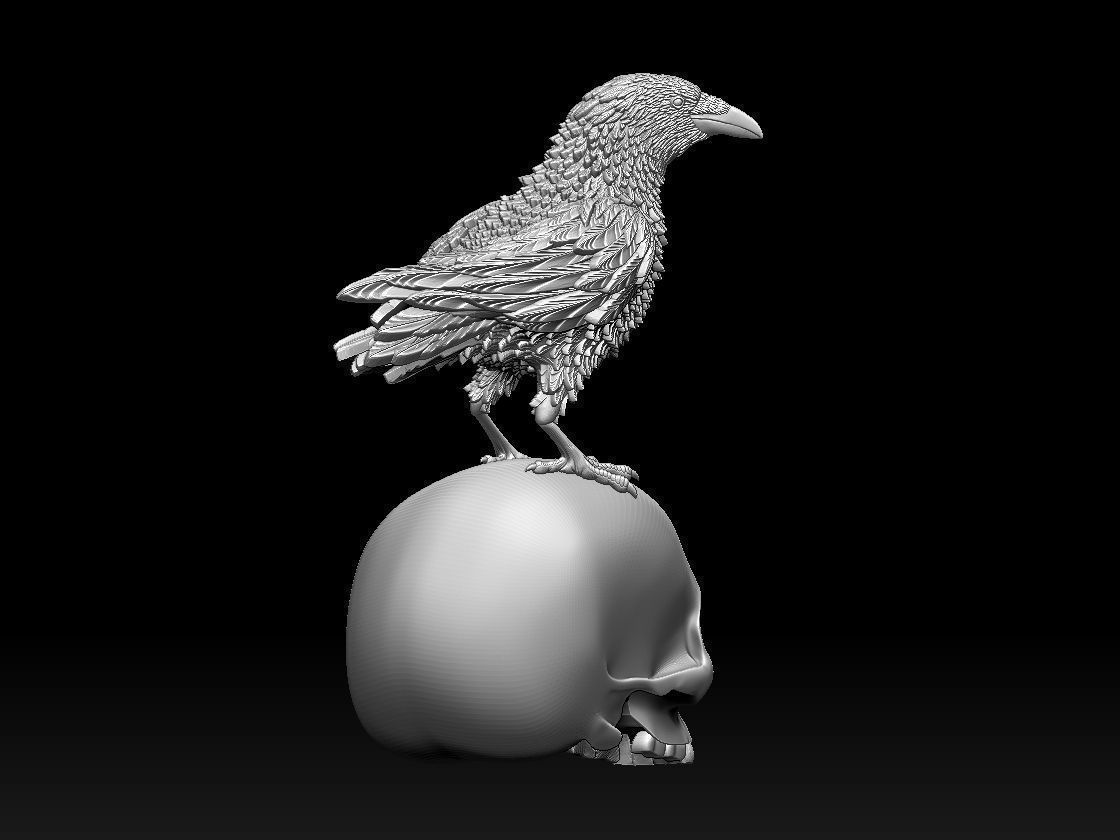 bird crow 3D print model_5