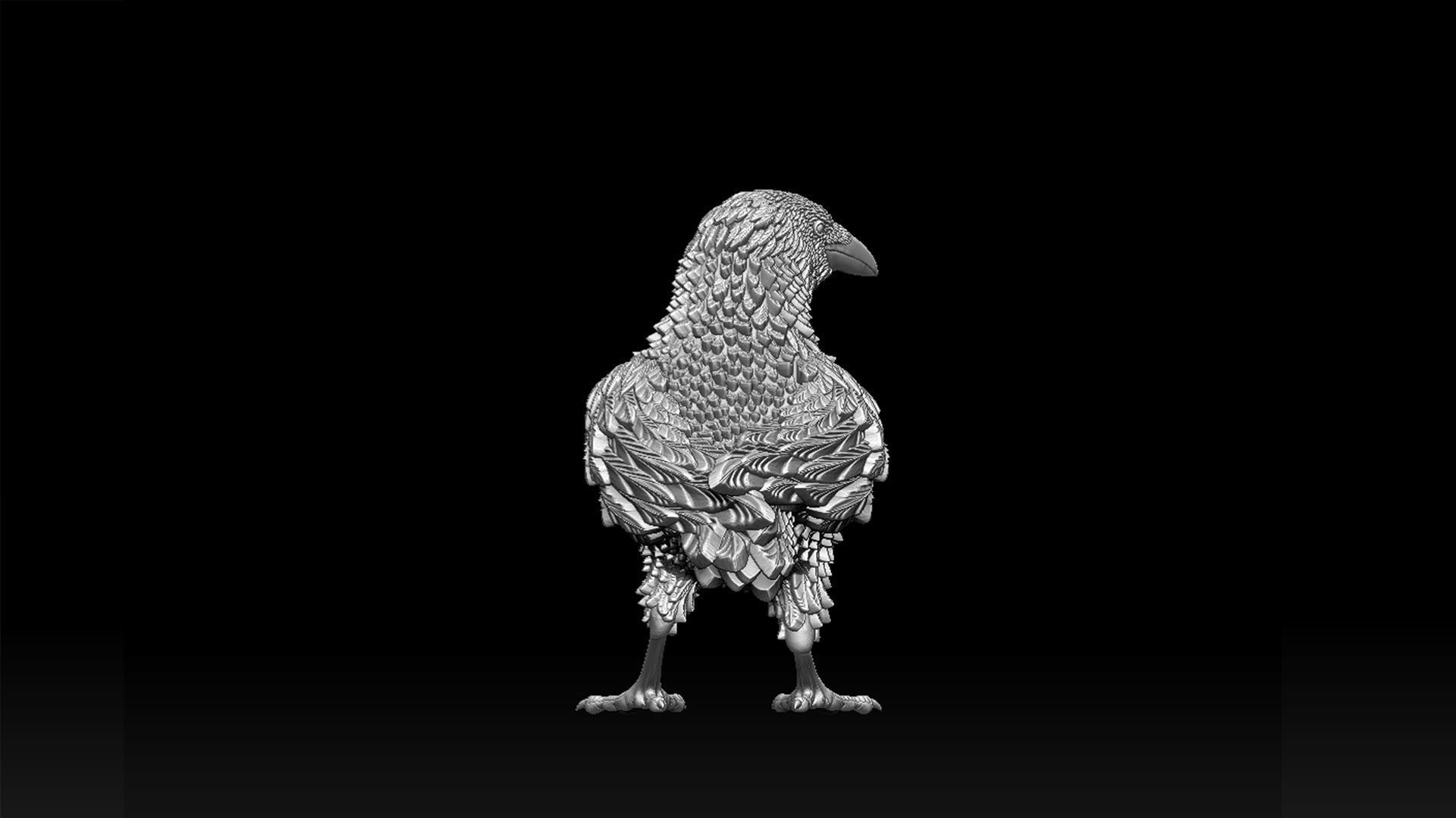 bird crow 3D print model_18