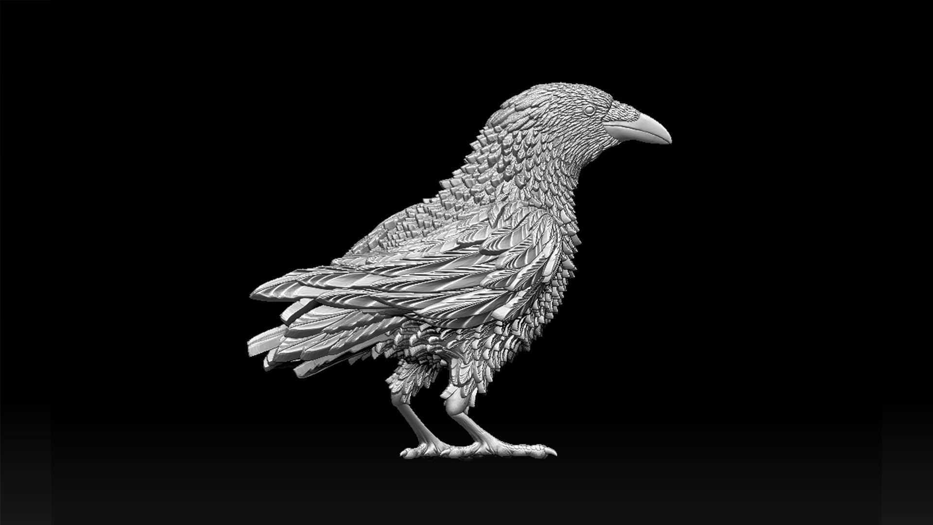 bird crow 3D print model_19