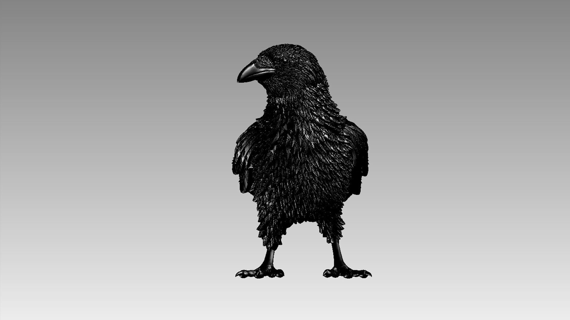 bird crow 3D print model_28