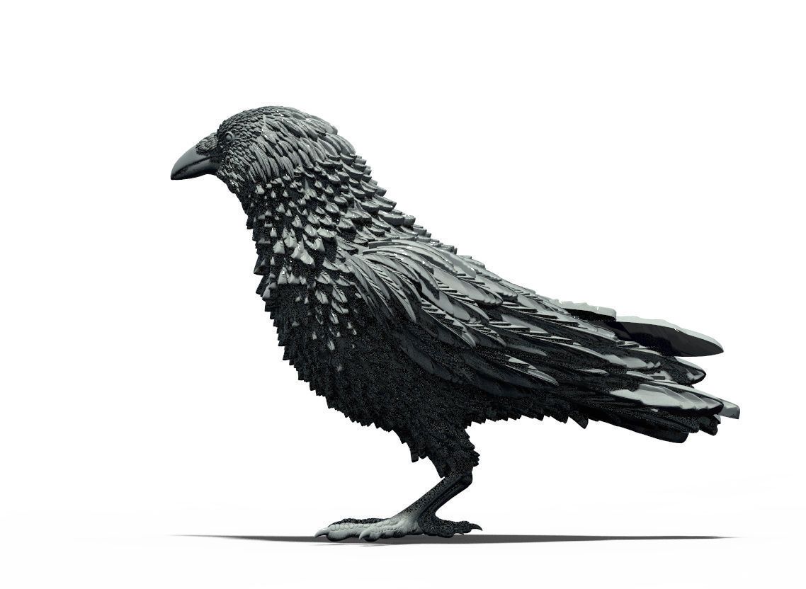bird crow 3D print model_11