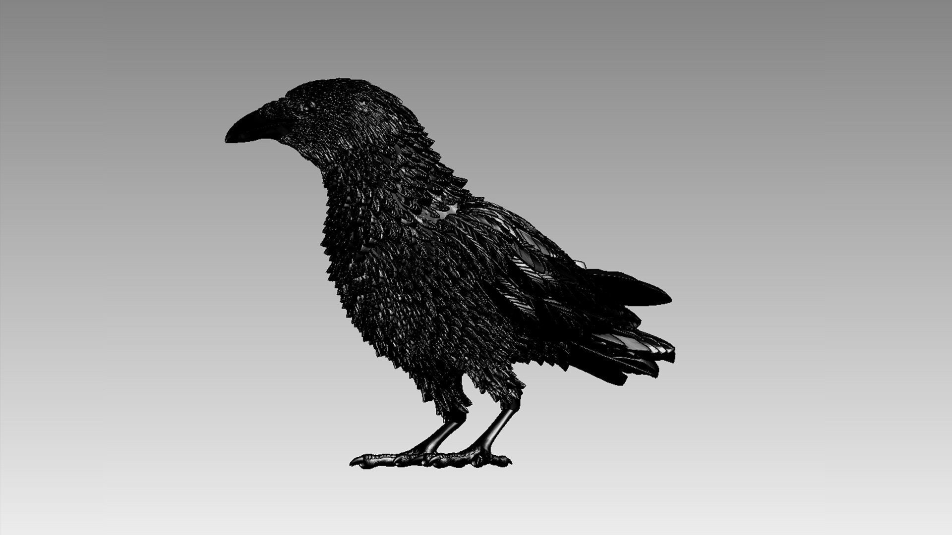 bird crow 3D print model_27