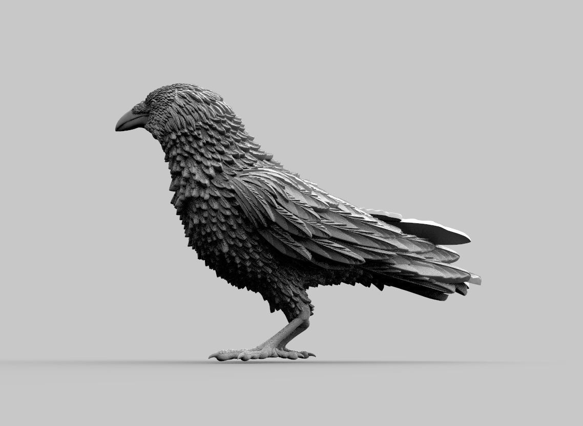 bird crow 3D print model_7