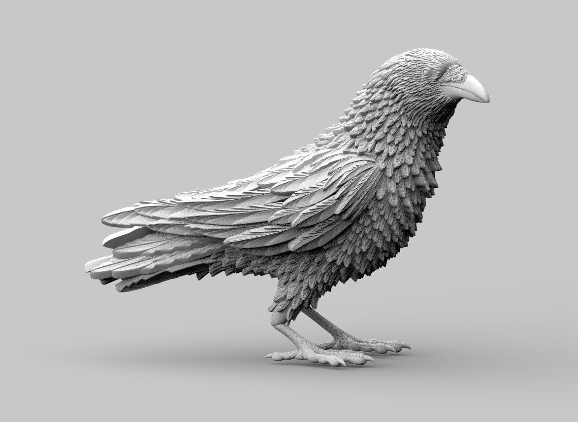 bird crow 3D print model_10
