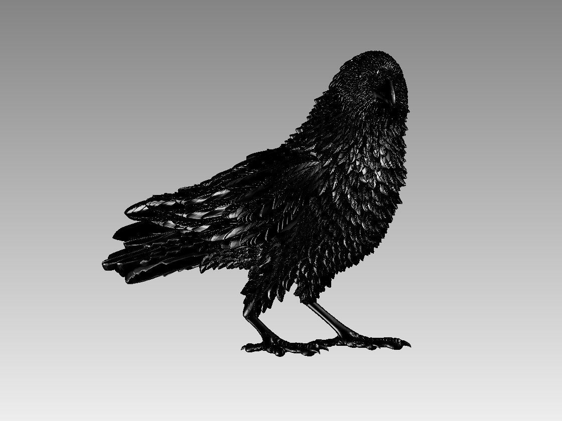 bird crow 3D print model_32