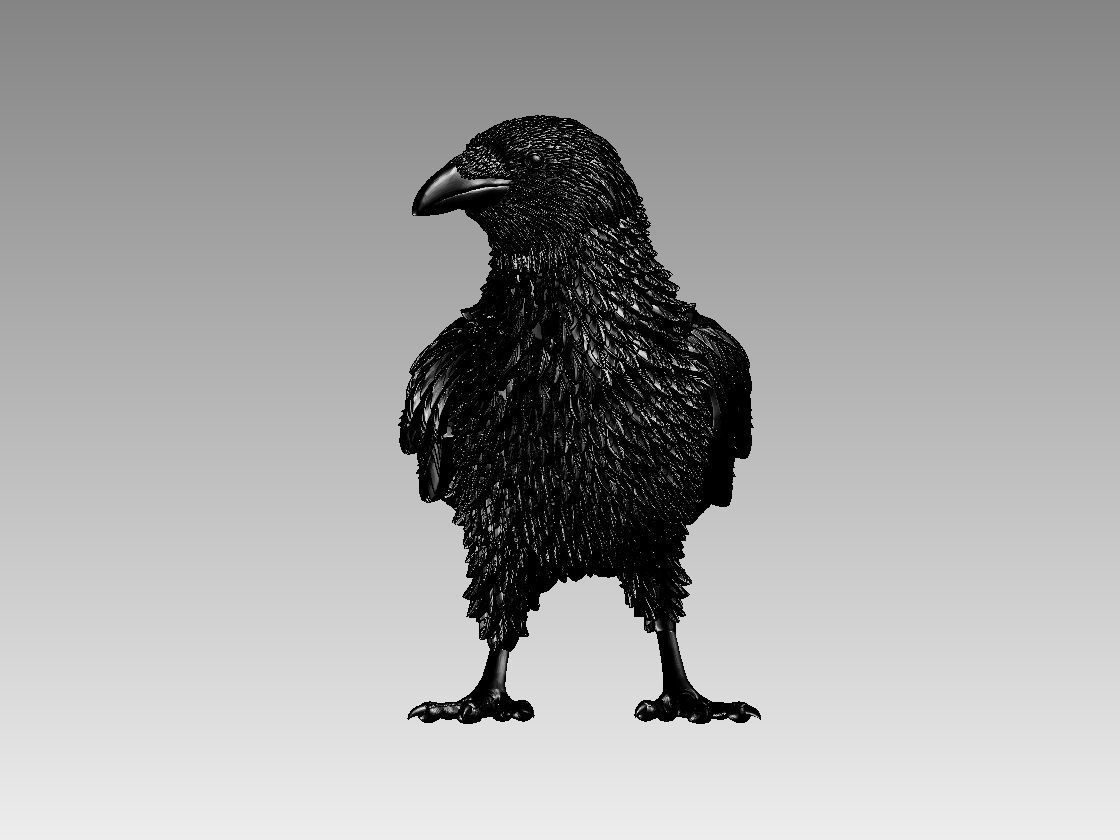 bird crow 3D print model_33