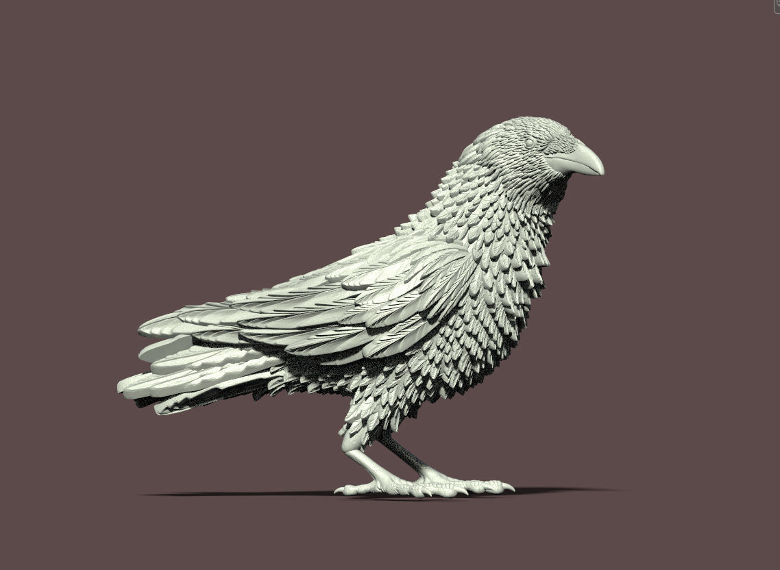 bird crow 3D print model_23