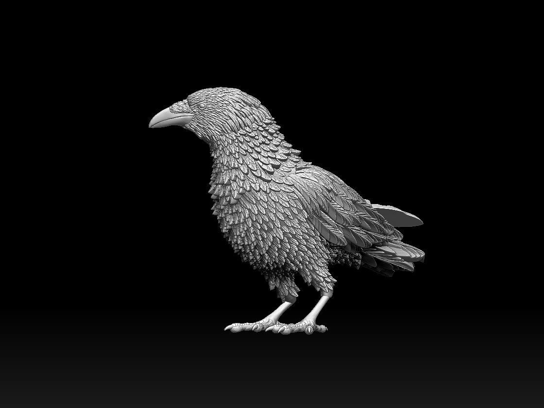 bird crow 3D print model_14