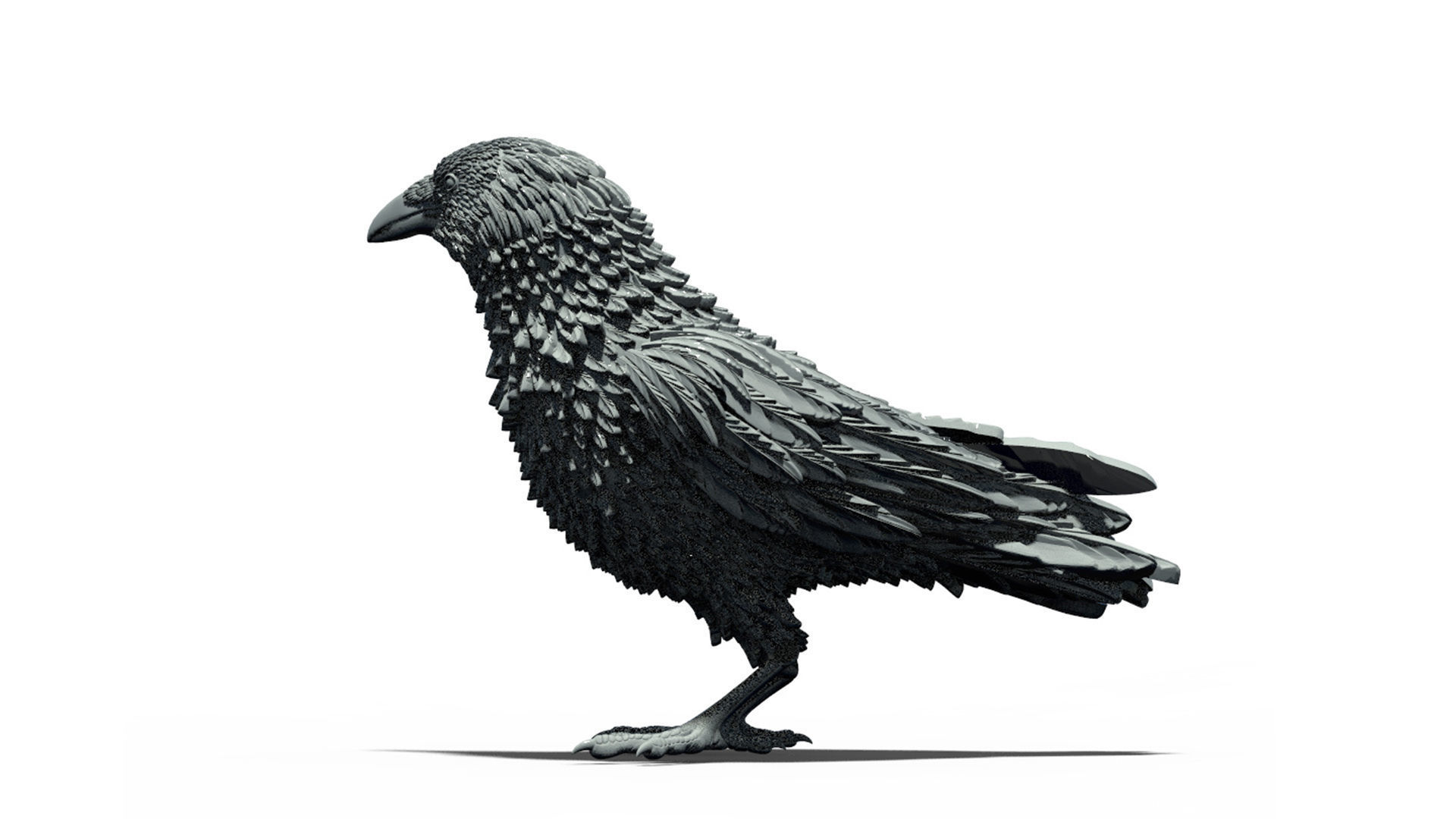 bird crow 3D print model_24
