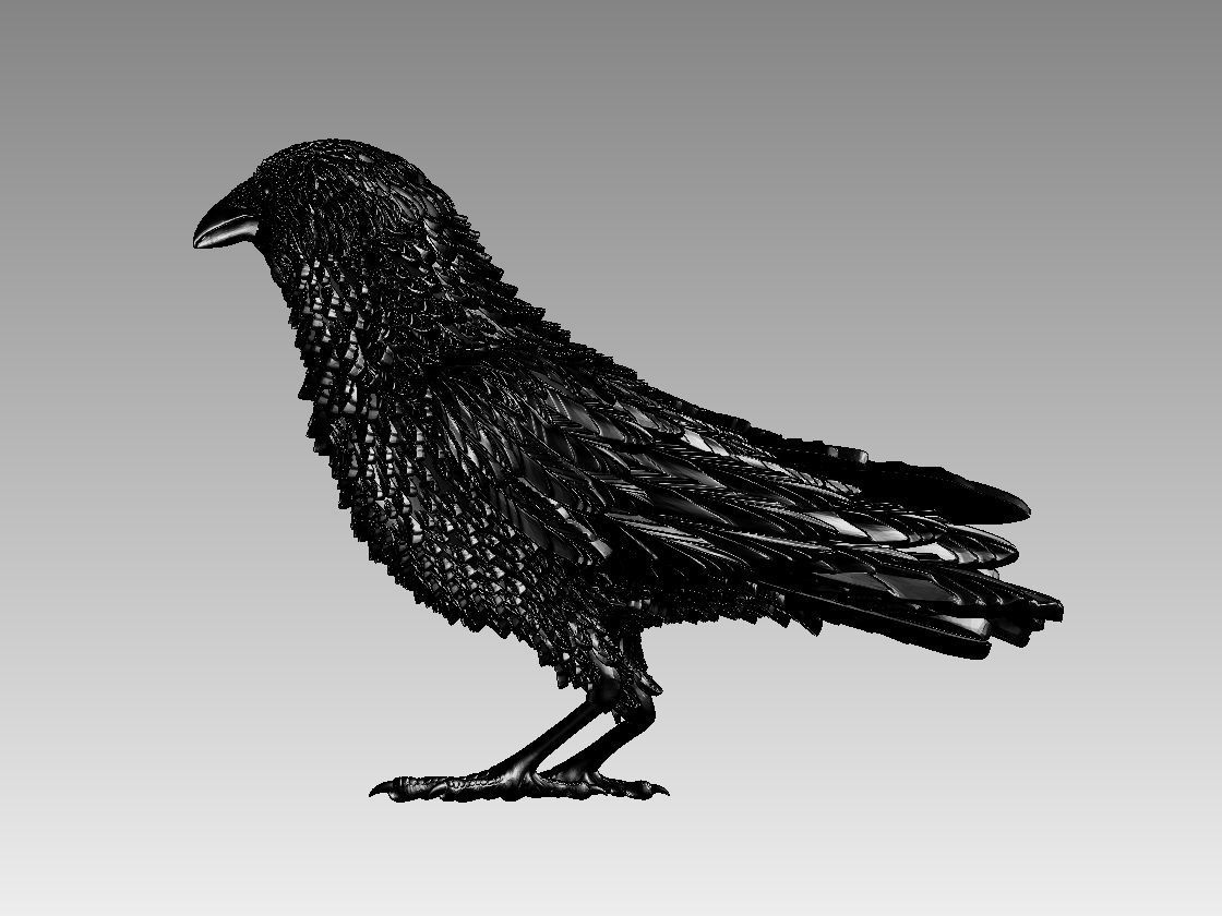 bird crow 3D print model_35