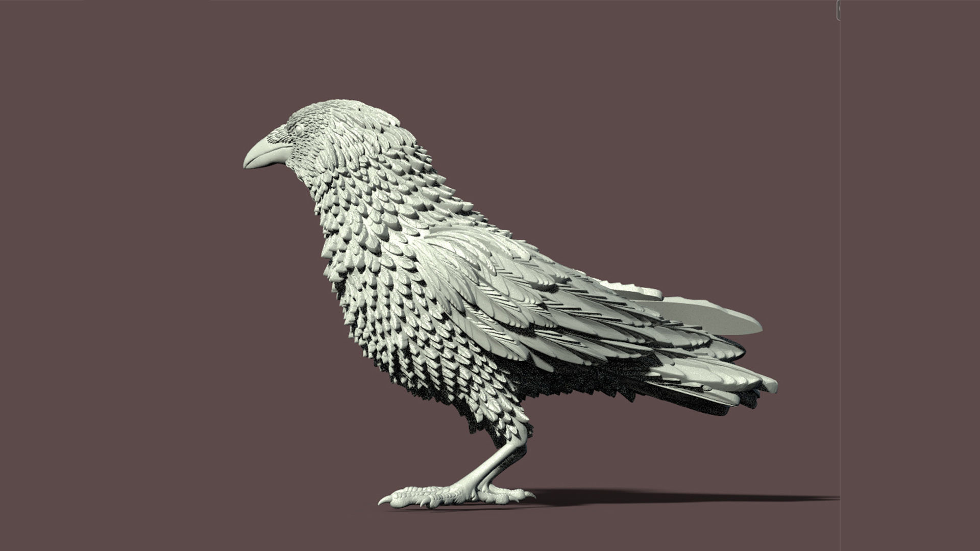 bird crow 3D print model_21