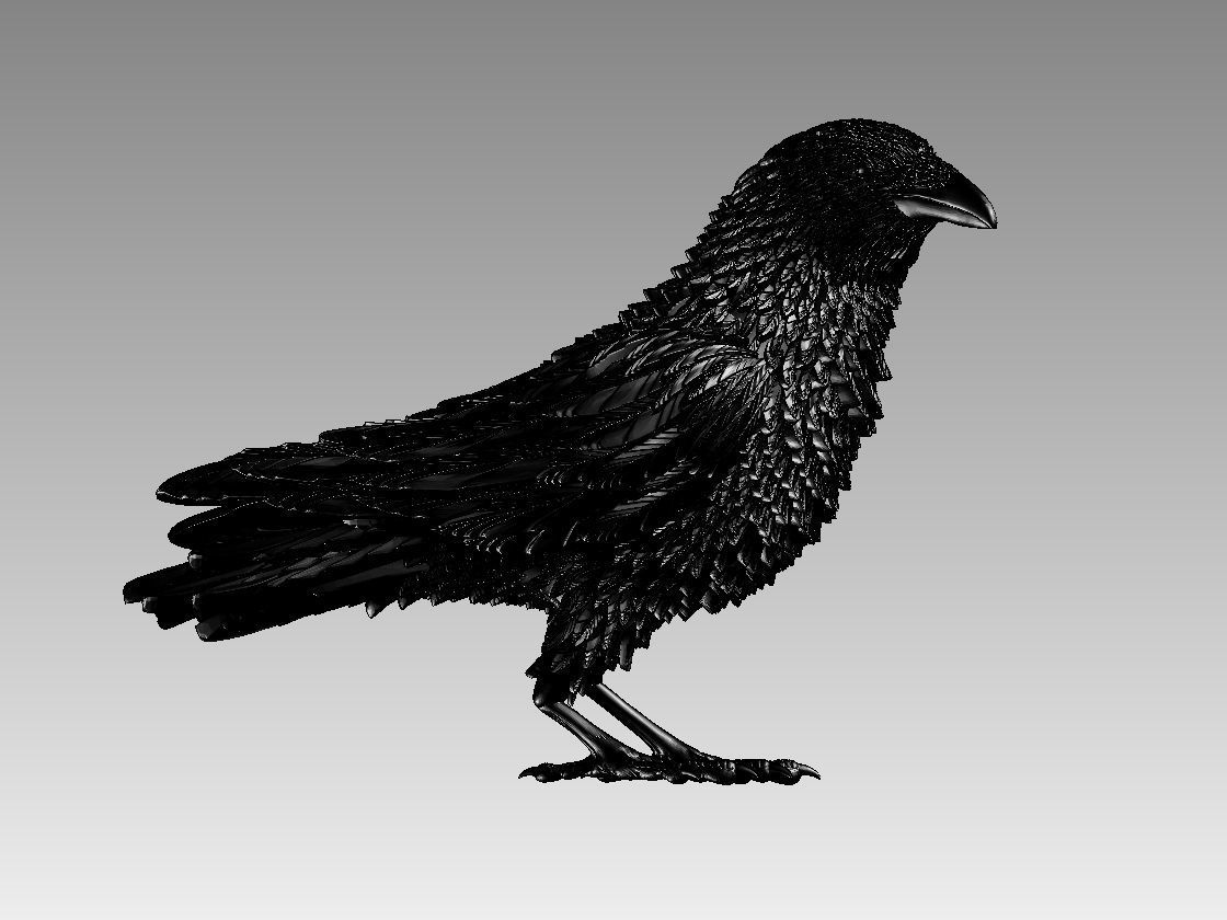 bird crow 3D print model_31
