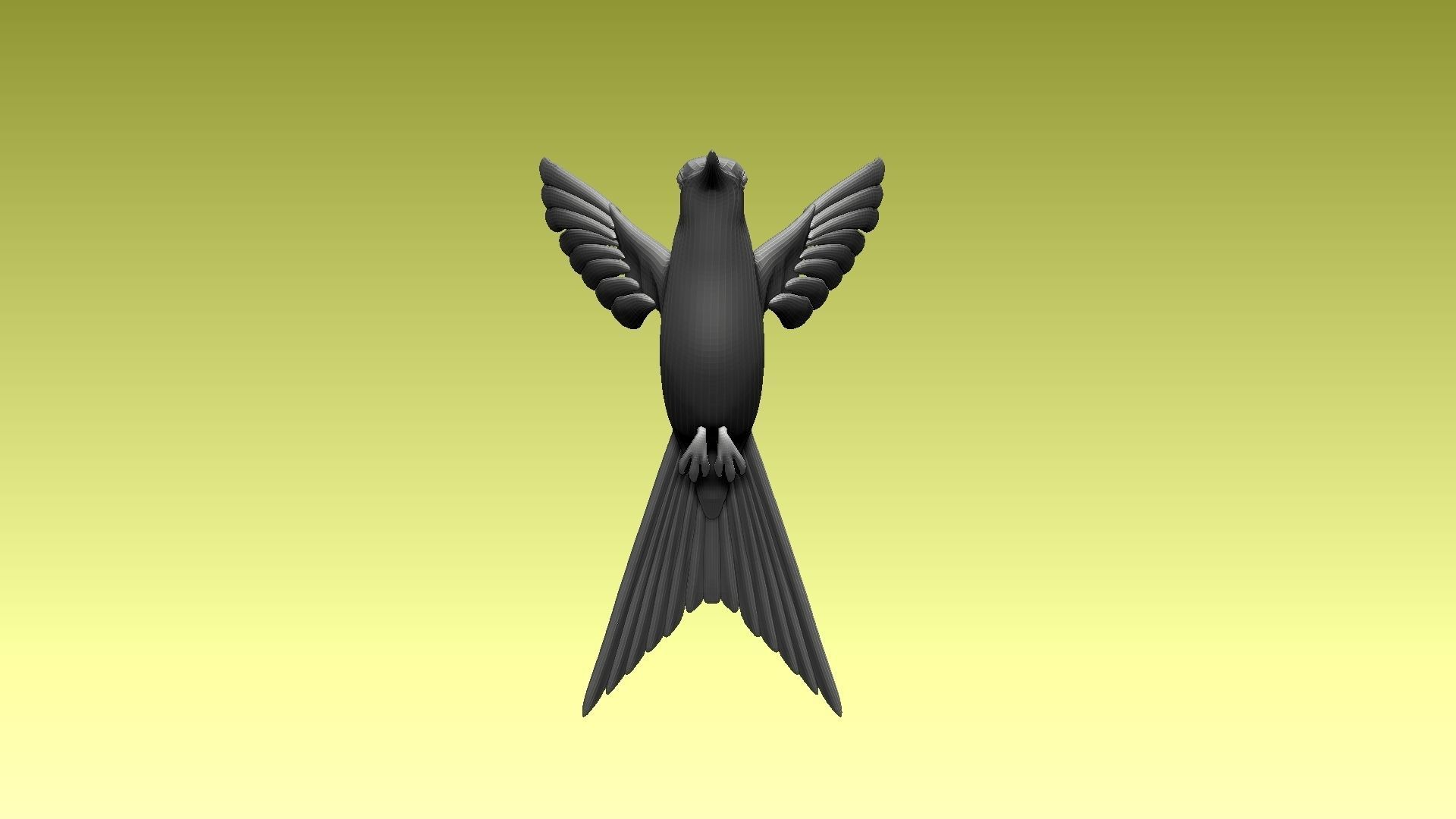 colibri humming bird 3D model_5