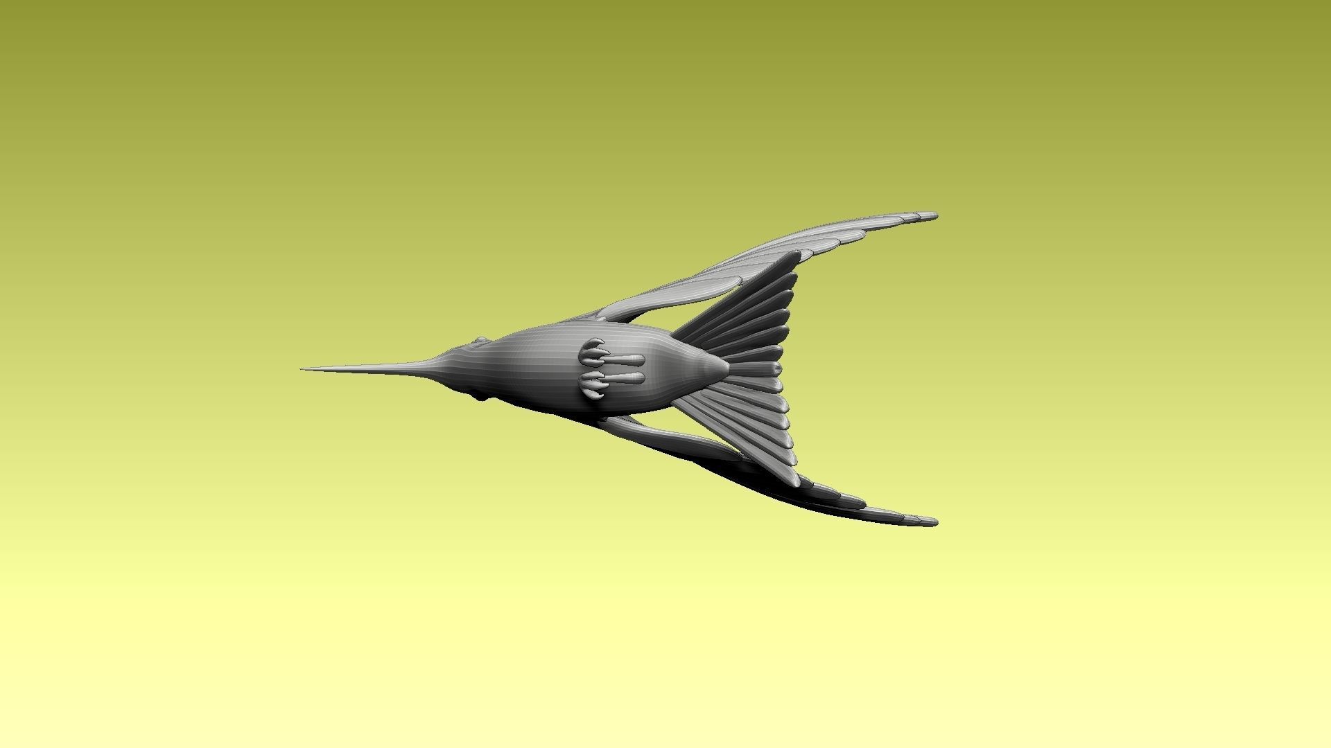 colibri humming bird 3D model_6