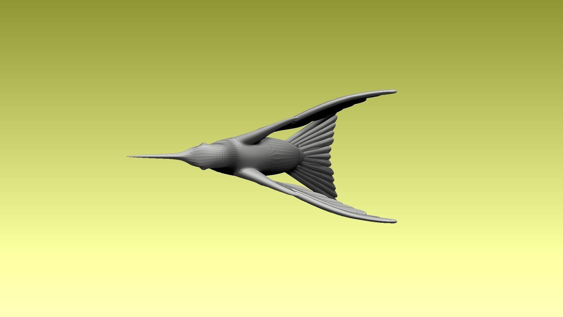 colibri humming bird 3D model_4