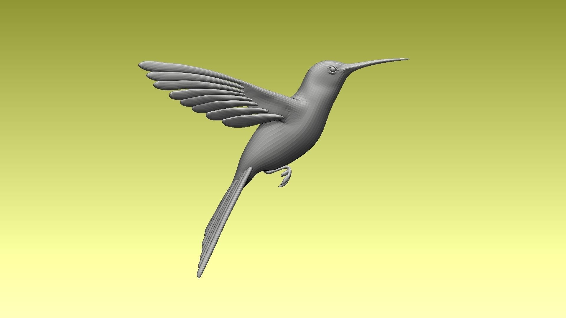 colibri humming bird 3D model_8