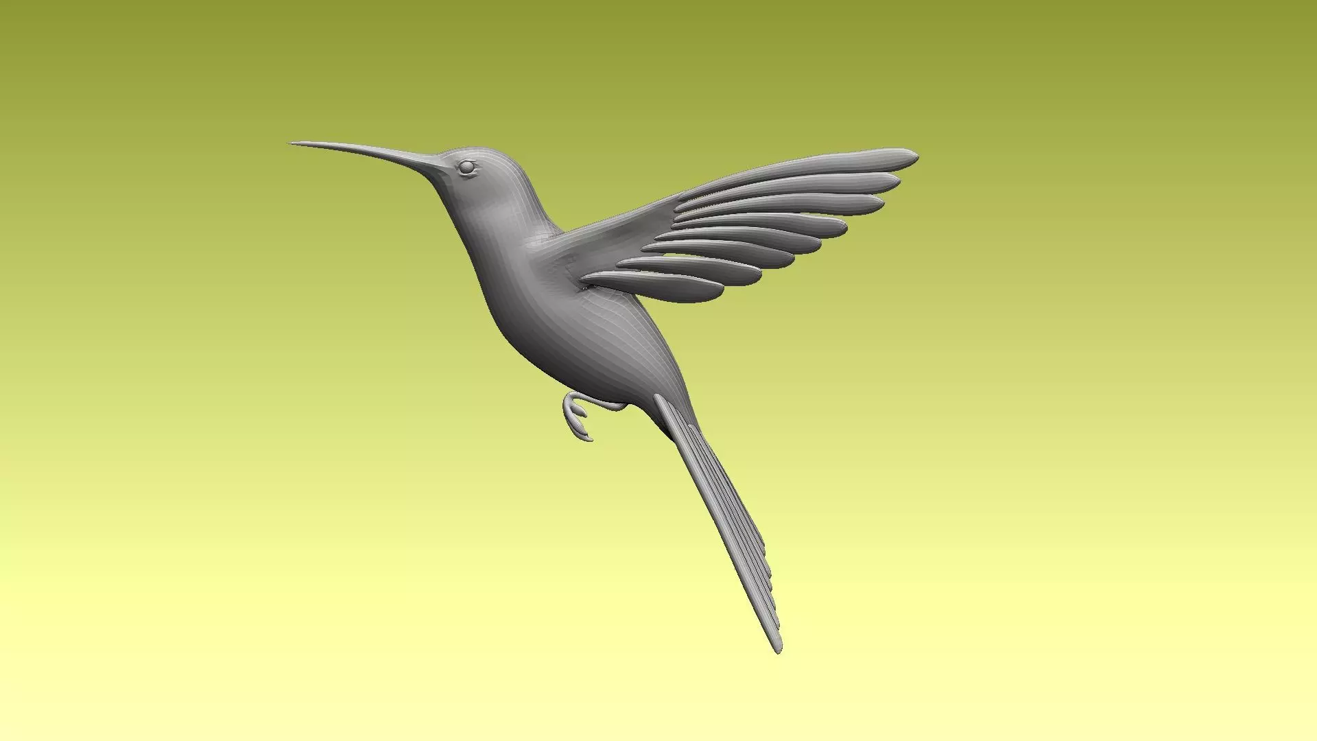 colibri humming bird 3D model_0