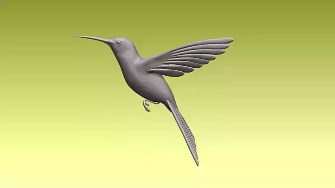 colibri humming bird 3D model