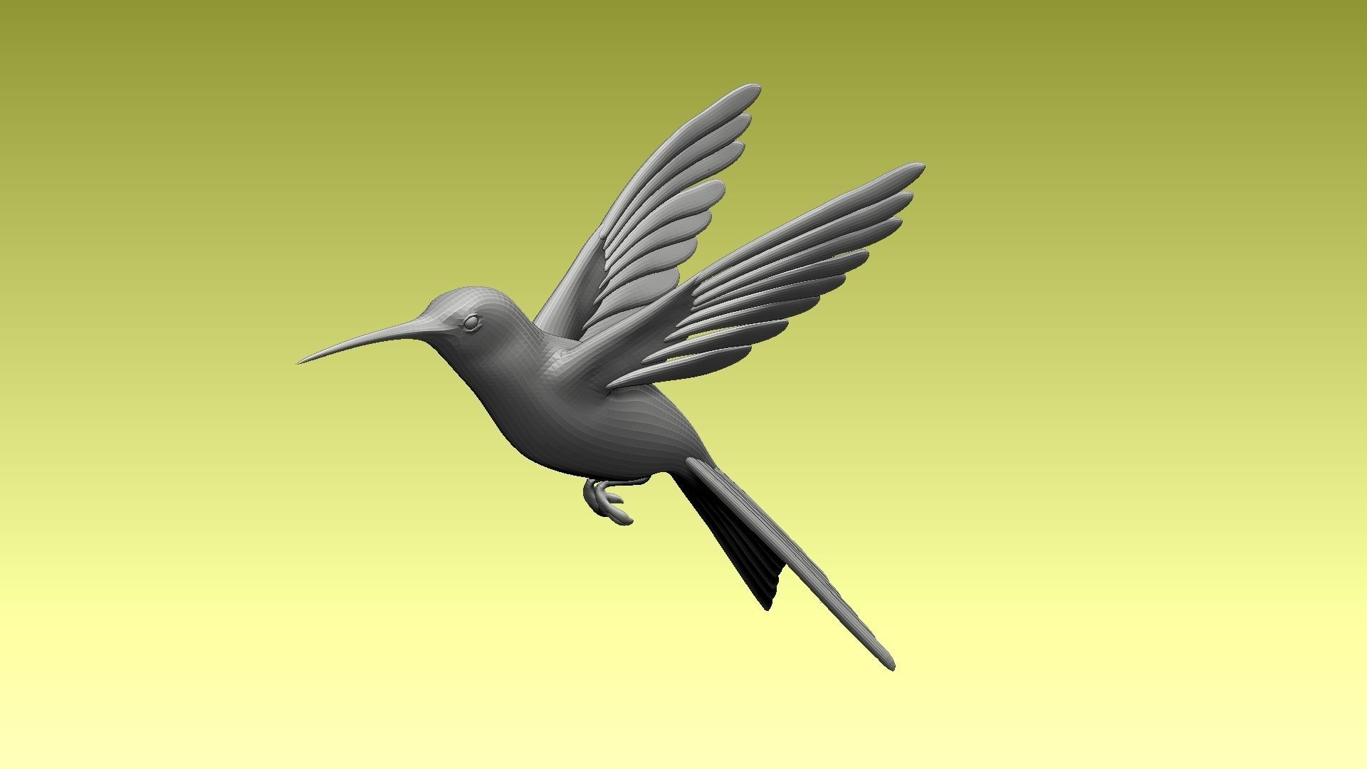 colibri humming bird 3D model_2
