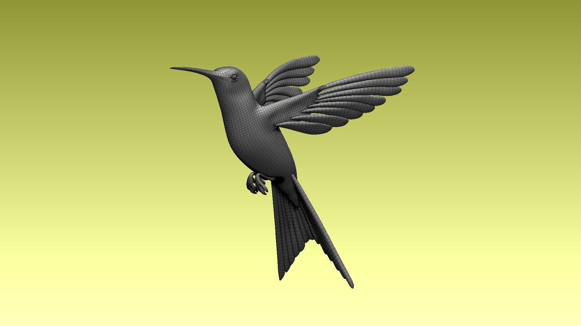 colibri humming bird 3D model_7