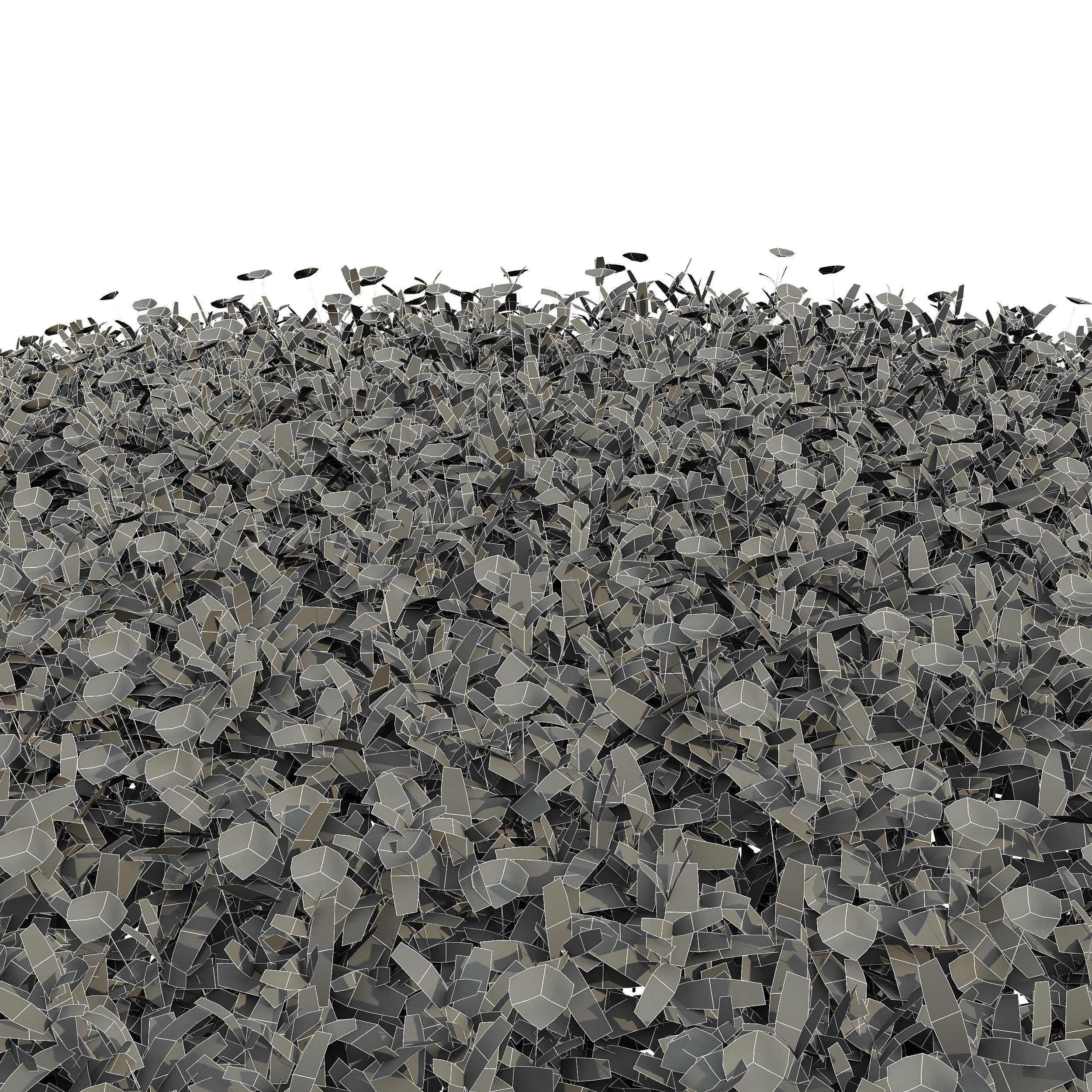 Cuphea Hookeriana Carthagenensis Decorative02 3D model_3