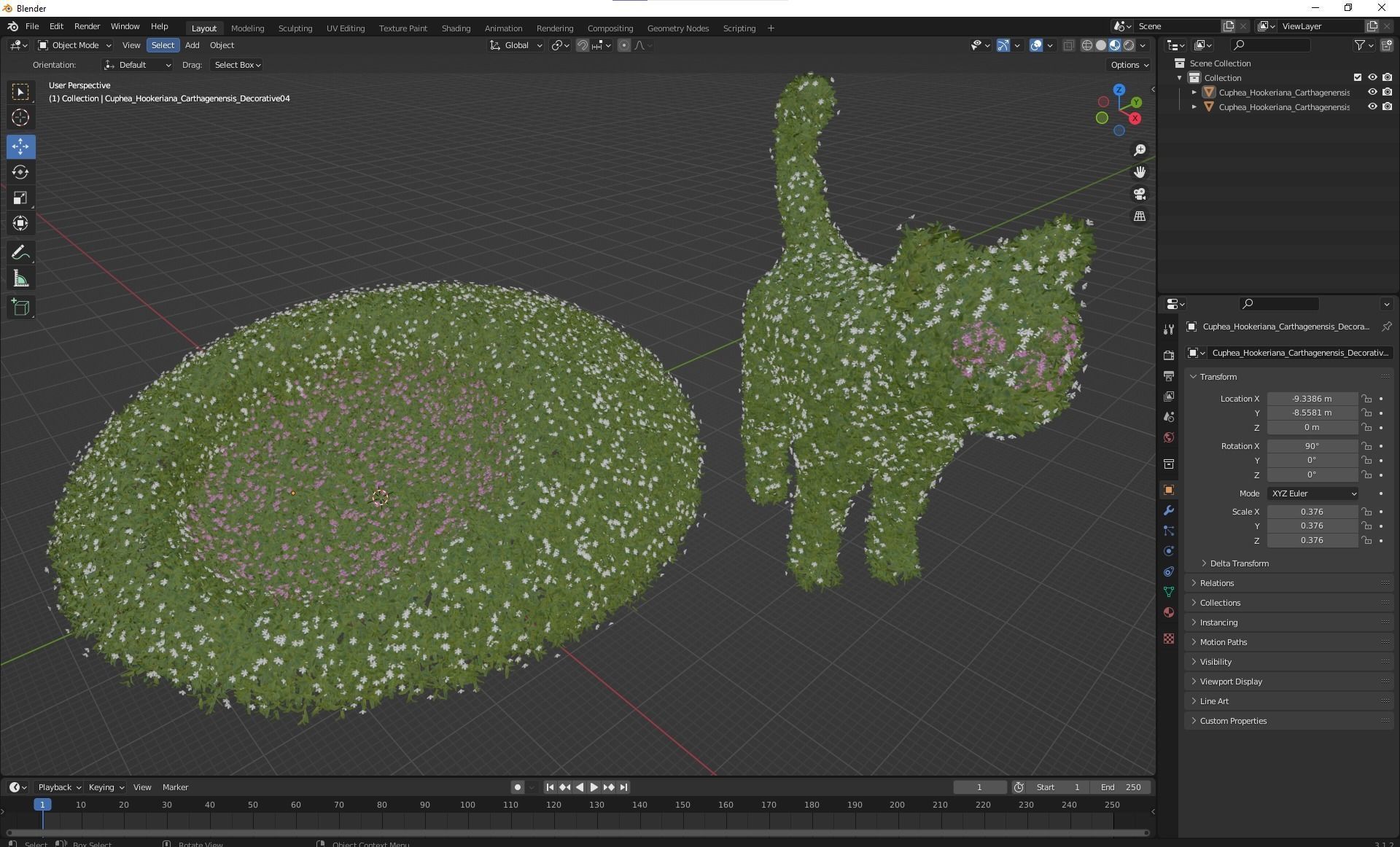 Cuphea Hookeriana Carthagenensis Decorative02 3D model_4