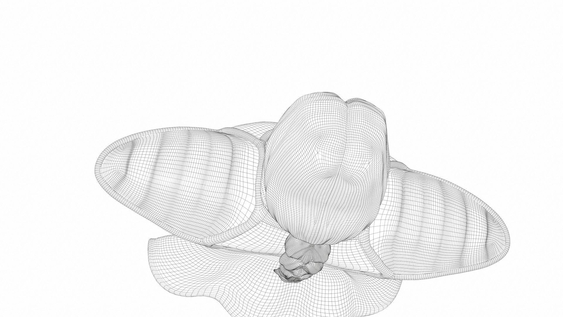 Zarbon monster from Dragon Ball 3D model_24