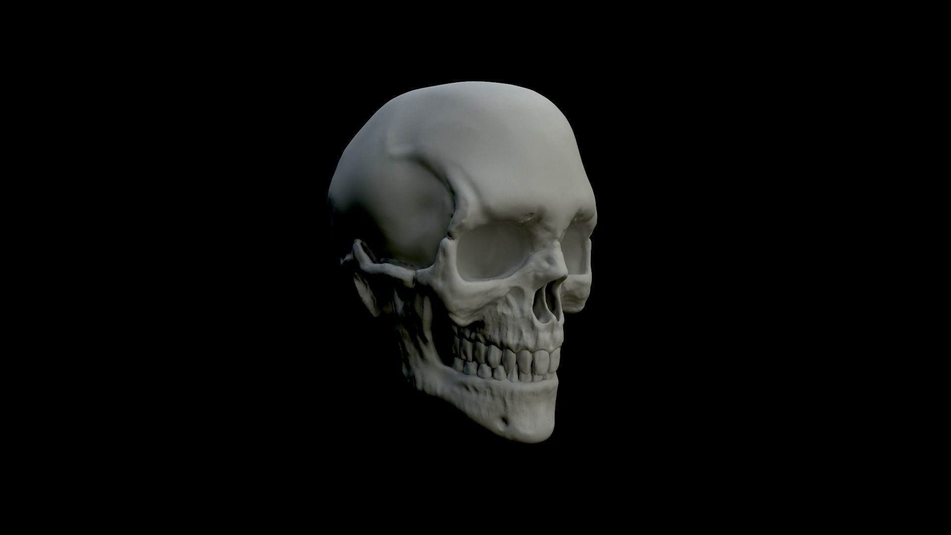 Skull Human 3D Model 3D print model_2