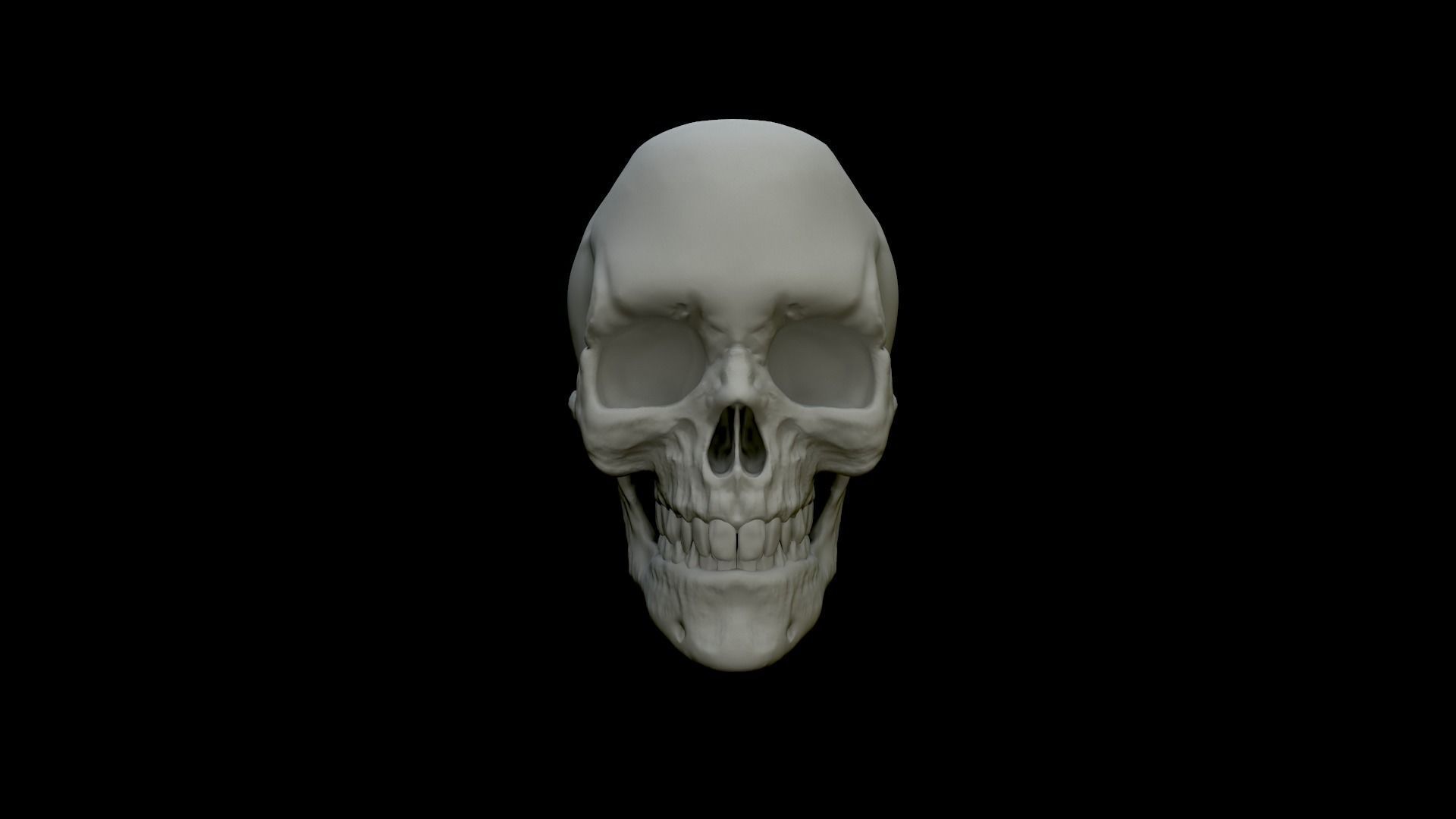 Skull Human 3D Model 3D print model_4