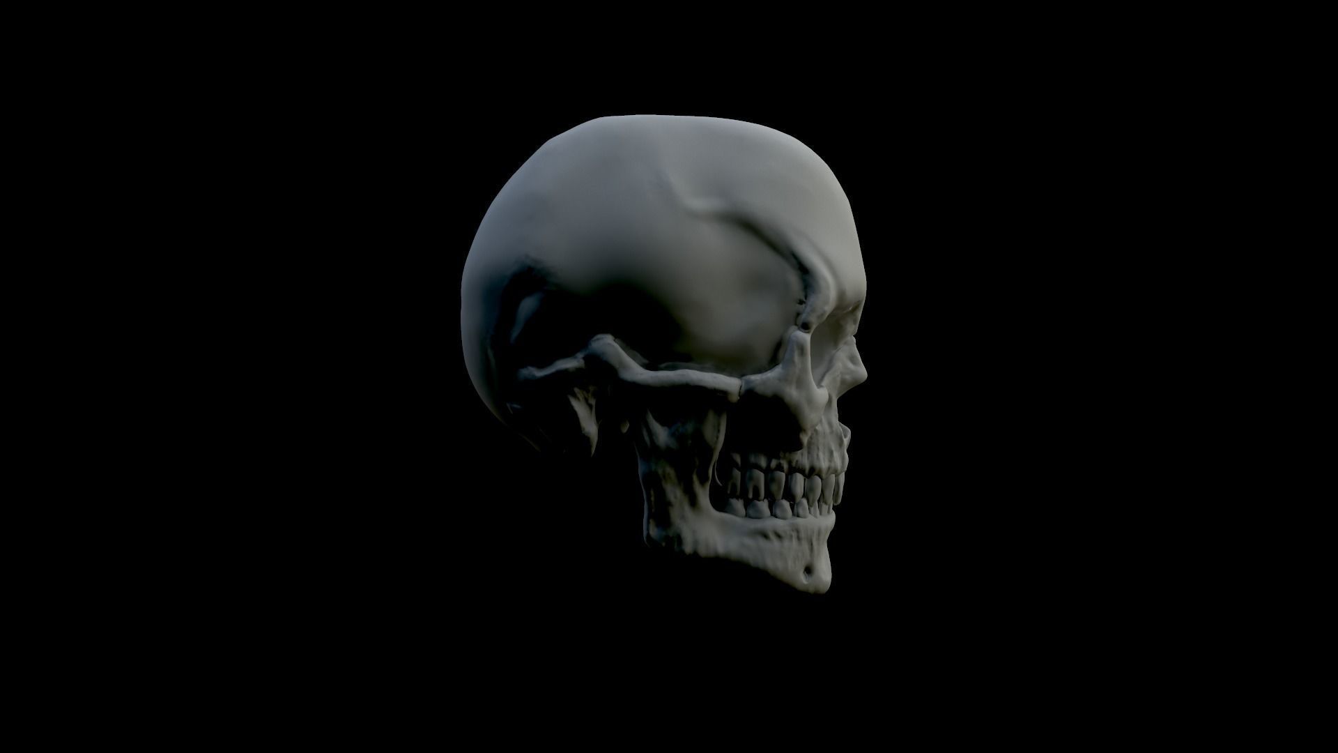 Skull Human 3D Model 3D print model_3