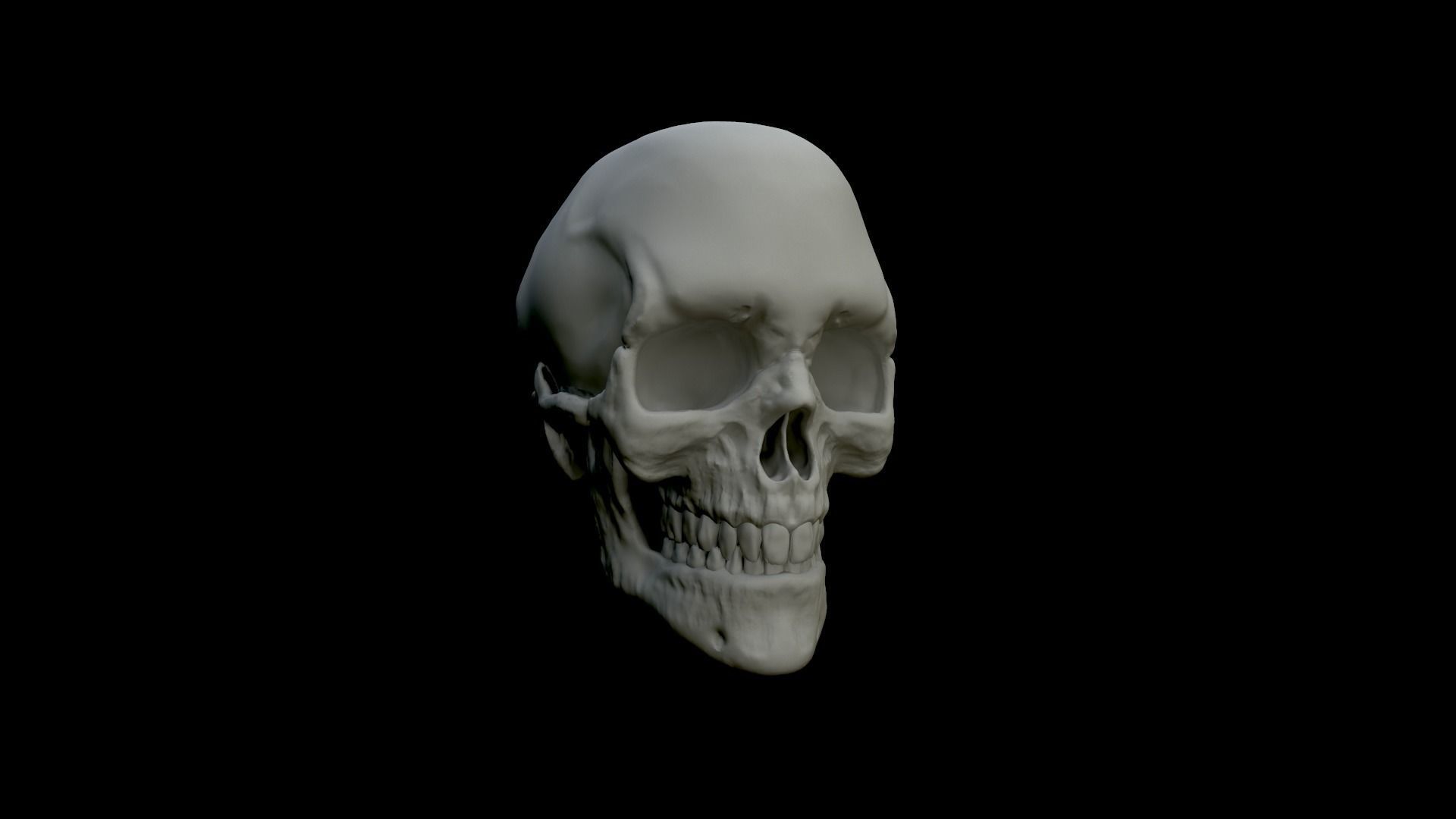 Skull Human 3D Model 3D print model_1