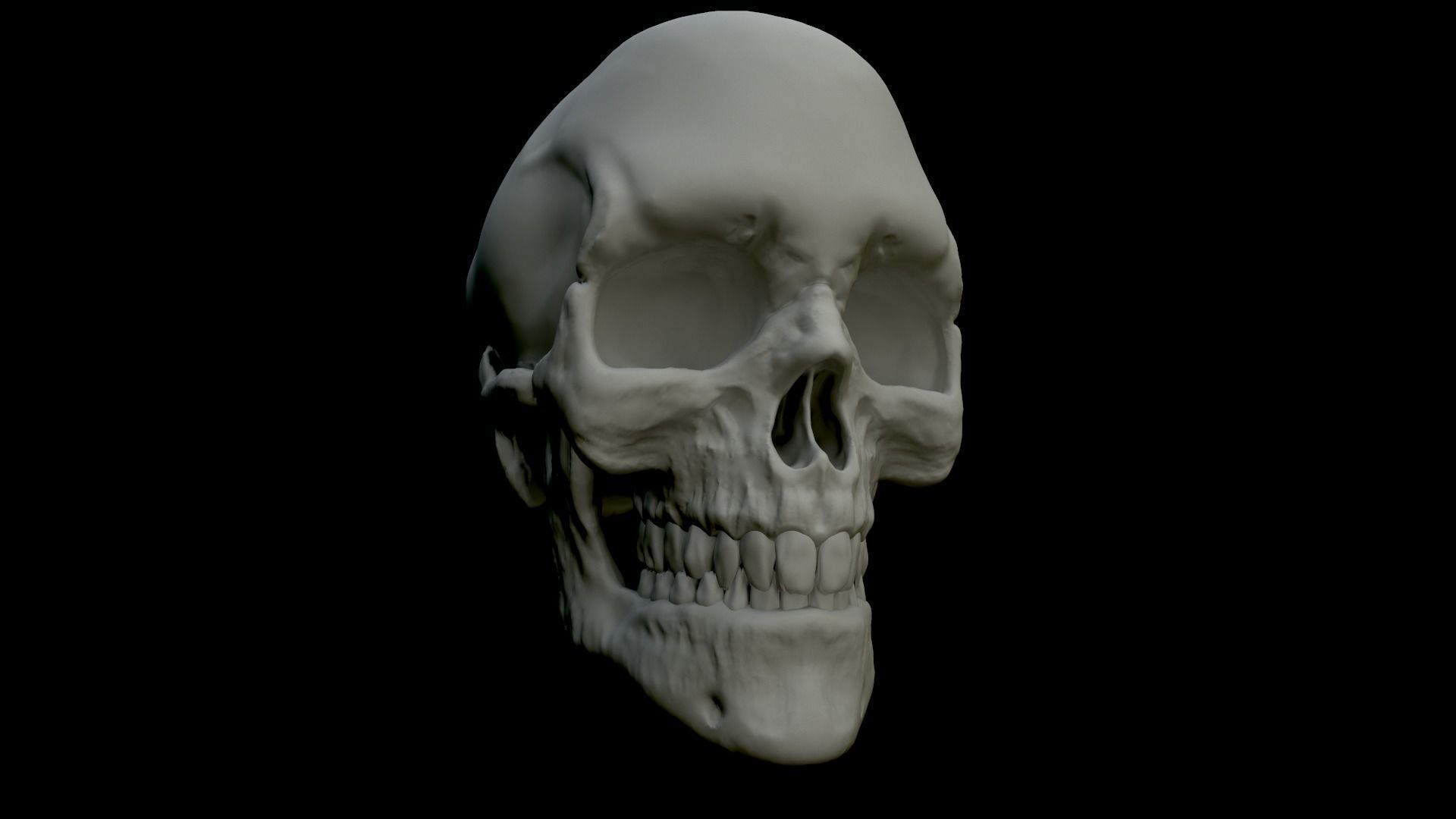 Skull Human 3D Model 3D print model_5