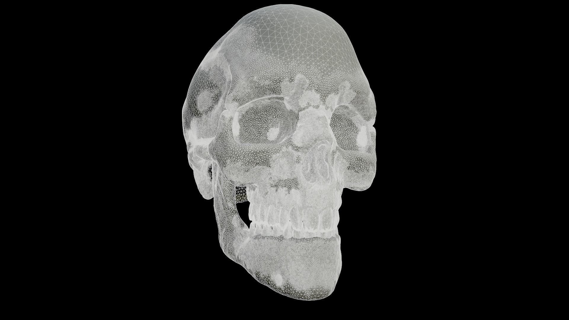 Skull Human 3D Model 3D print model_6