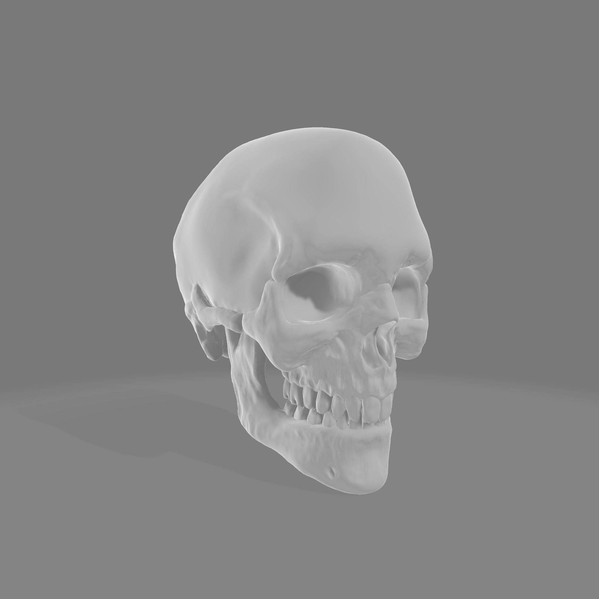 Skull Human 3D Model 3D print model_8