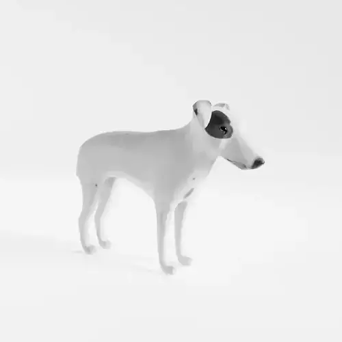 Smooth Fox Terrier