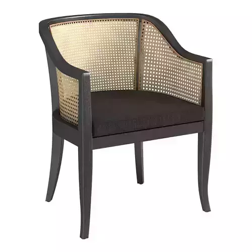 Rina Dining Chair by Safavieh