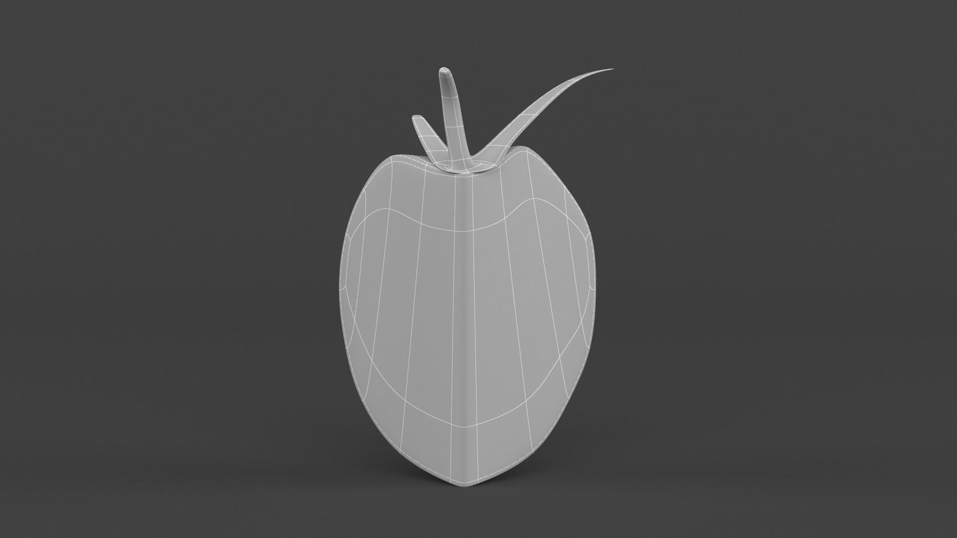 Tomato 3D model_9
