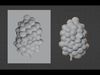 grape relief-mold for 3D print and CNC 3D print model_1